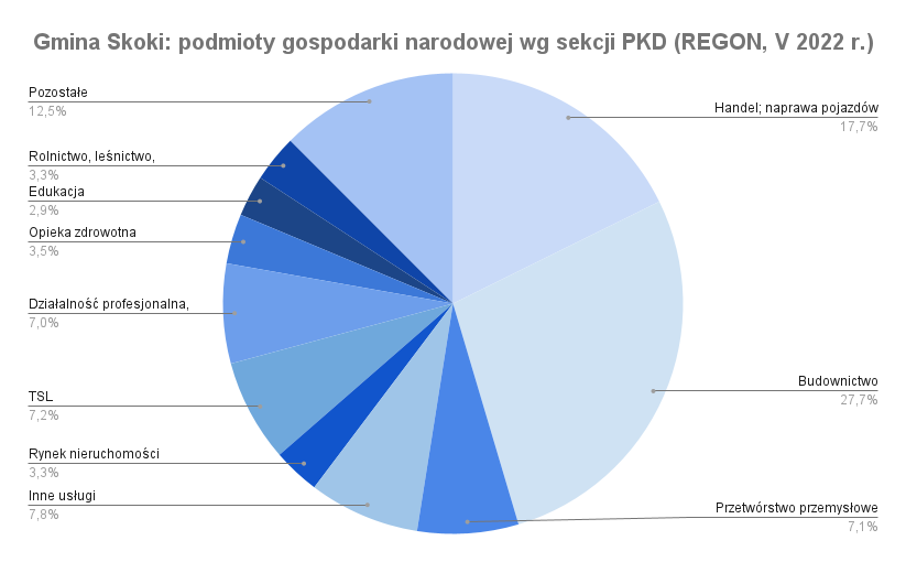 Gospodarka gminy Skoki: sekcje PKD