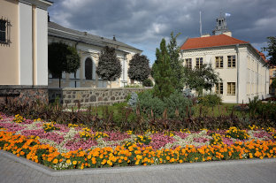 Mława, powiat mławski