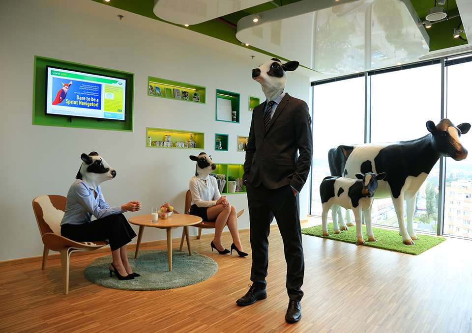 arla-centra-uslug-wspolnych-oferty-pracy