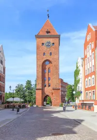 Elbląg: rynek pracy – kogo potrzebuje? Jakie jest bezrobocie?