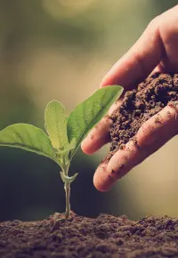 Społeczna odpowiedzialność biznesu: na czym polega?