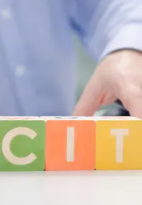 CIT-8: podstawowe informacje o zeznaniu rocznym osób prawnych