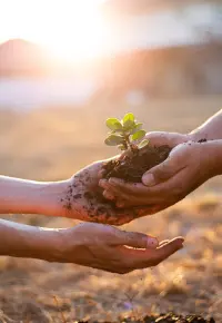 Rolnictwo ekologiczne: co to znaczy, dopłaty