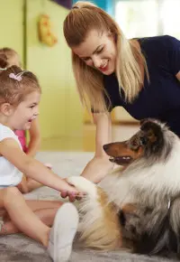 Dogoterapia – pomysł na biznes