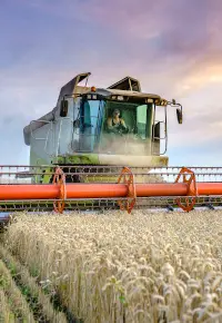 Usługi rolnicze: co to znaczy, dofinansowanie, jak zacząć 