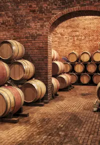 Akcyza na alkohol – co się zmieni od 2022 roku?