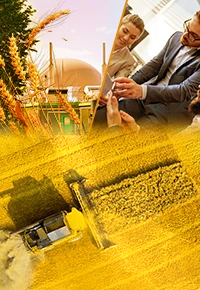 Praca w grupie firm przetwórstwa rolnego – proces rekrutacji, poszukiwane zawody