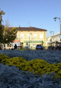 Mielec: jak wygląda rynek pracy? Jakich specjalistów potrzebuje rynek pracy?