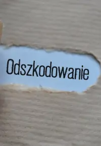 Odszkodowanie dla pracodawcy – kiedy pracodawca może dostać odszkodowanie