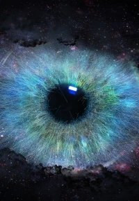 Rekrutacja do IT okiem specjalisty – (nie)rekrutera