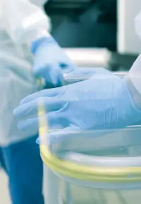 Patomorfolog – kto to? Ile zarabia? Czy warto nim zostać?