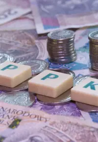 Pracownicze Plany Kapitałowe – co to jest, dla kogo, rezygnacja, ustawa