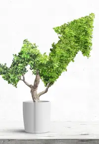 Realny PKB – co to jest?