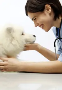 Zawód zoofizjoterapeuta