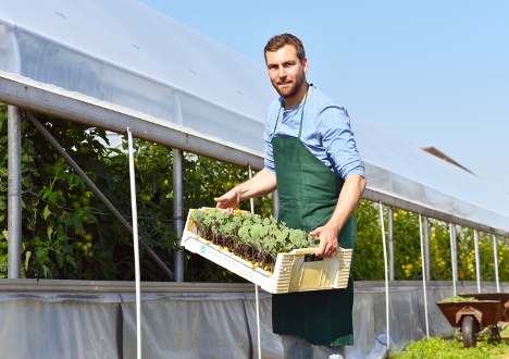  KRUS - Kasa Rolniczego Ubezpieczenia Społecznego, emerytura, ubezpieczenia