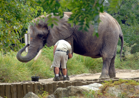 Praca ze zwierzętami - połącz pasję z pracą