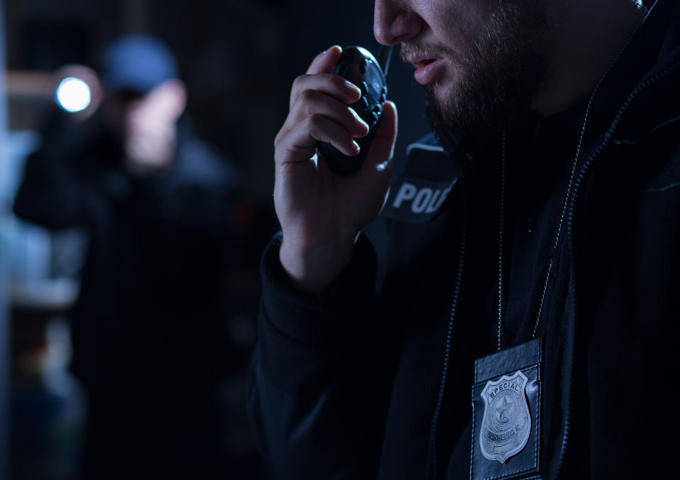 Policjant - stanowiska w policji