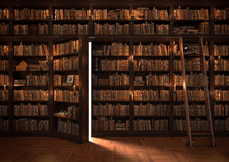 Bibliotekarz - warunki pracy, kwalifikacje, wymagania, zarobki