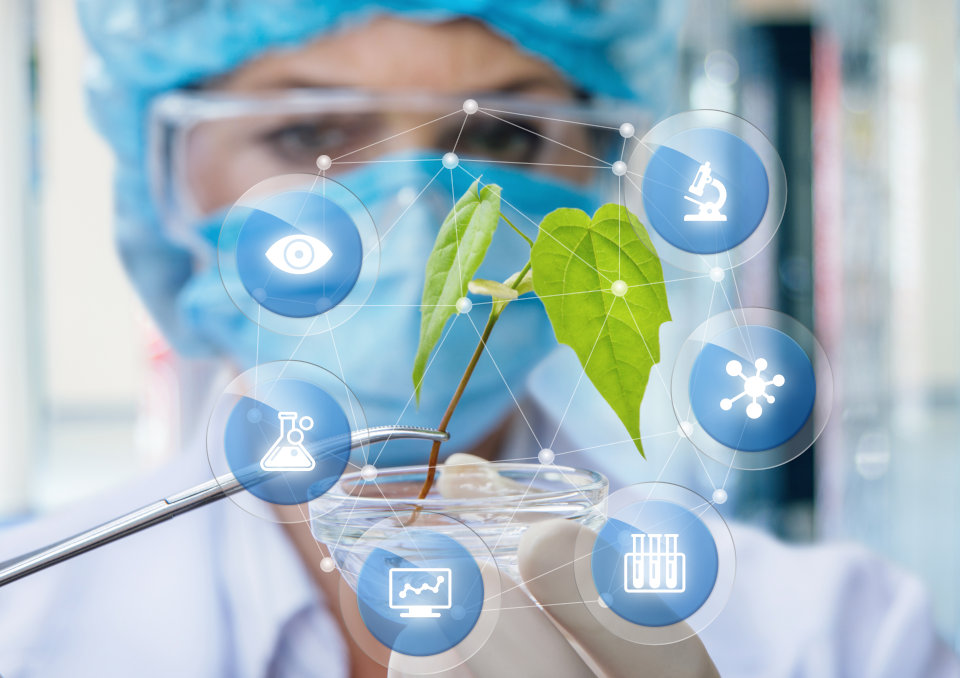 Biotechnologia Tradycyjna Biotechnologia W Ochronie środowiska Odpowiedzi Biotechnologia - perspektywy pracy, zarobki