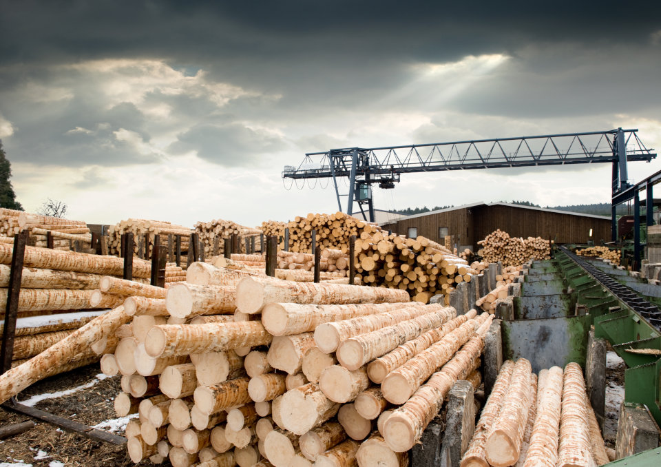 Brakarz - kto to jest, jak zostać, kurs