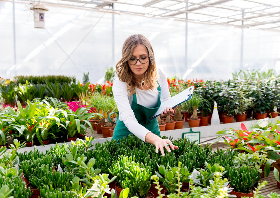 Małe przedsiębiorstwo - definicja, charakterystyka, zatrudnienie