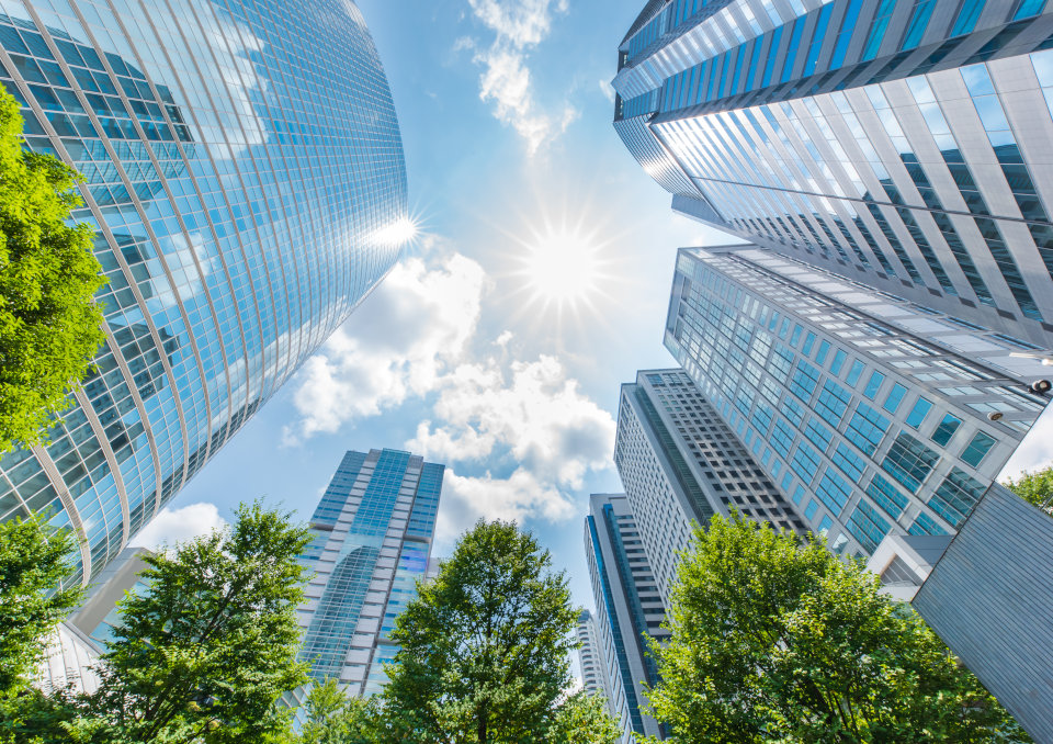 Praca w korporacji - na czym polega, wymagania i kompetencje pracowników